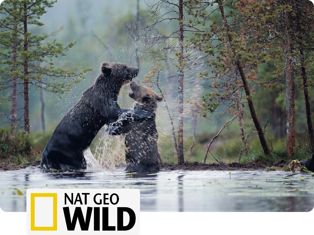Tajomná krása Európy, programový tip National Geographic Wild